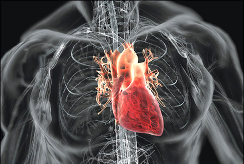 Kalp ve Damar hastalıkları nedir? Tedavisi… | Optimed Sağlık Grubu